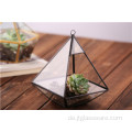 Super große Form hängendes Glas Pflanzen Terrarium Geometrisch